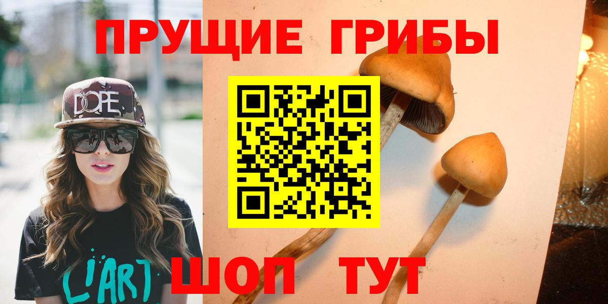 Псилоцибиновые грибы Cubensis  Вход с VPN  Заринск  Псилоцибиновые грибы MAGIC MUSHROOMS 